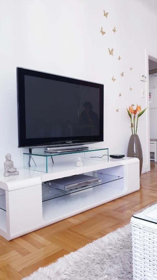 Wonderful 2-bedroom Belvedere Apartament *