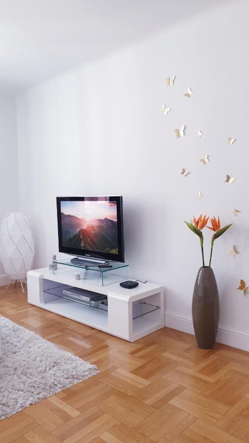 Wonderful 2-bedroom Belvedere Apartament