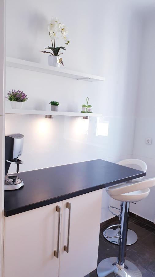 Wonderful 2-bedroom Belvedere Apartament Viena